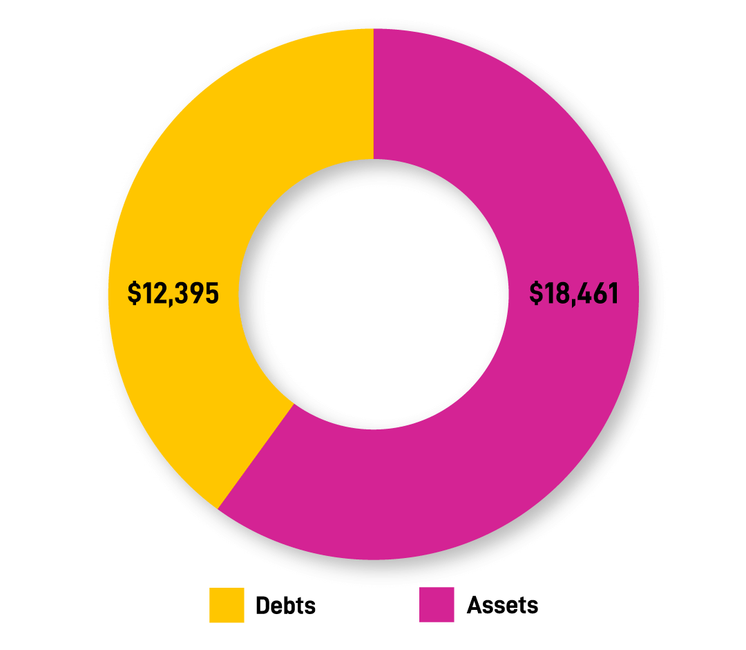 Graph showing assets is $18461 and debts is $12395