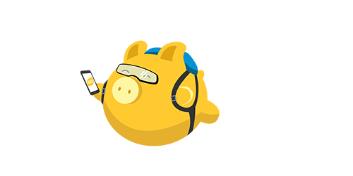 Skydiving Piggy